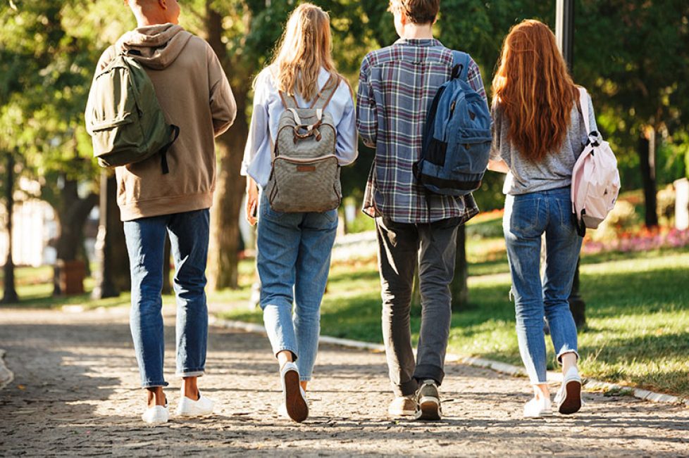 Back view group of students